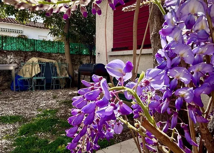 Superbe Maison Proche Du Centre De